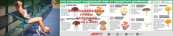 ГАЛЛЮЦИНОГЕННЫЕ ГРИБЫ Баксан