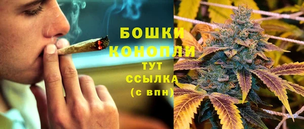 spice Пестово